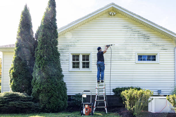 Window and Screen Pressure Cleaning